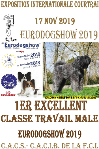 KALOUNN Elevage du Clos de la Luette EURODOGSHOW 2019